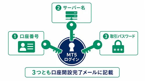 XS.comのMT5ログインに必要な3点(口座番号・サーバー名・取引パスワード)の図解